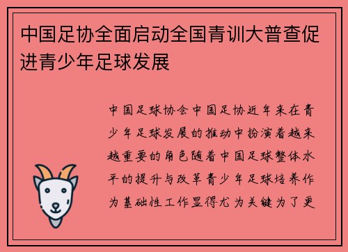 中国足协全面启动全国青训大普查促进青少年足球发展