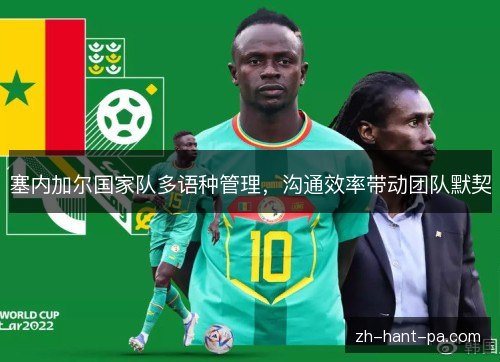 塞内加尔国家队多语种管理,沟通效率带动团队默契 塞内加尔国家队多语种管理,沟通效率带动团队默契